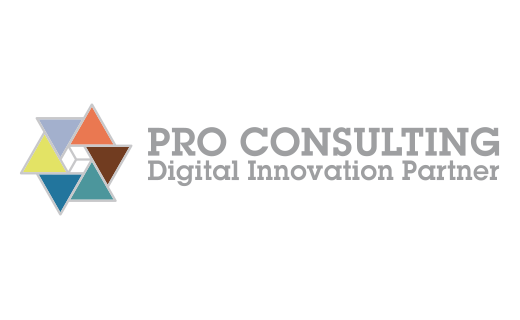 PRO CONSULTING SRL
